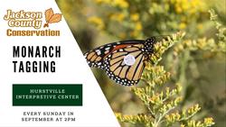 Monarch Tagging