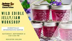 Wild Edible Jam/Jelly Workshop