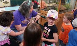 Knee-high Naturalists