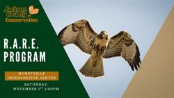 Live Birds of Prey Presentation