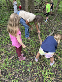 Crawly Critters Nature Camp (Youth ages 7-8)