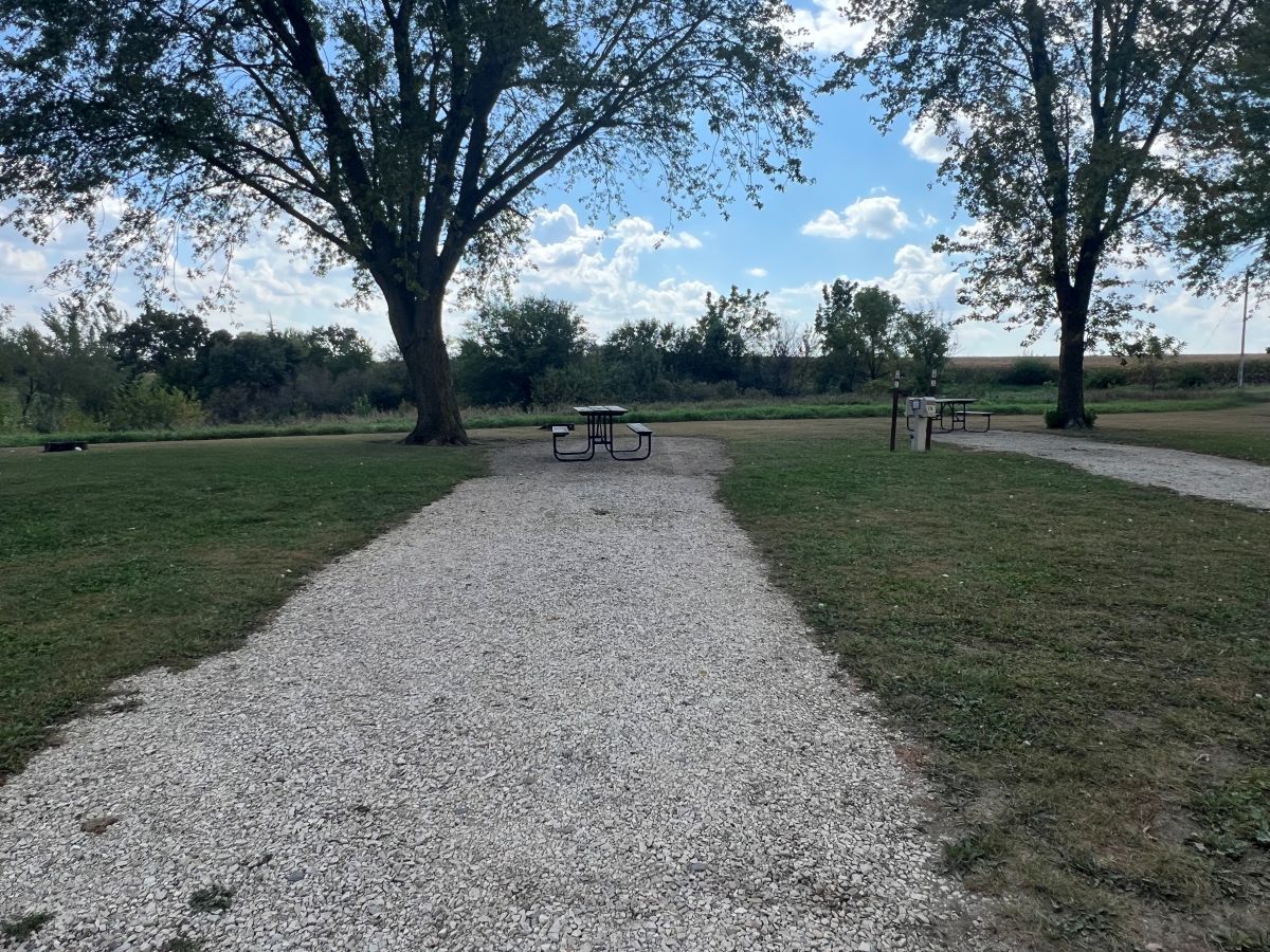 Dog Creek Campsite #20