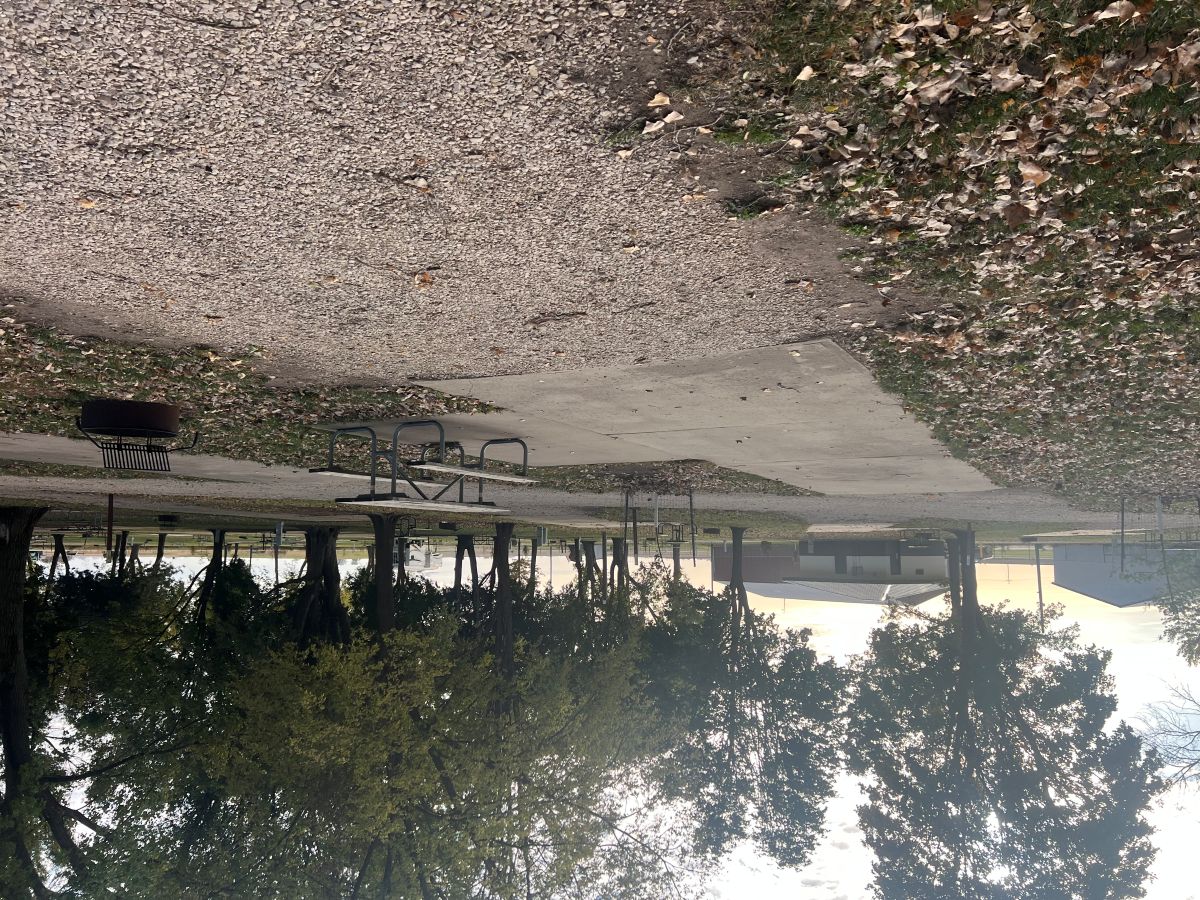 Mill Creek Campsite #12