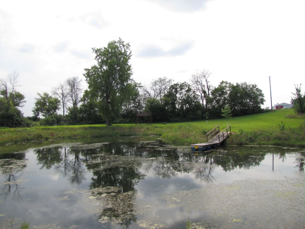 Sluggos Across the Pond