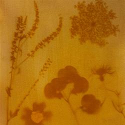 4PM - Sun Printing with Turmeric