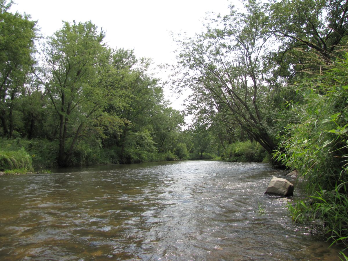 Johnny Walnut Seed Conservation Area