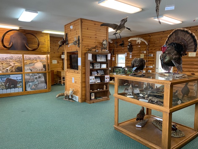 Gilbertson Nature Center