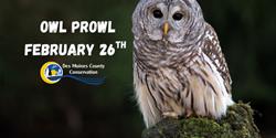Owl Prowl