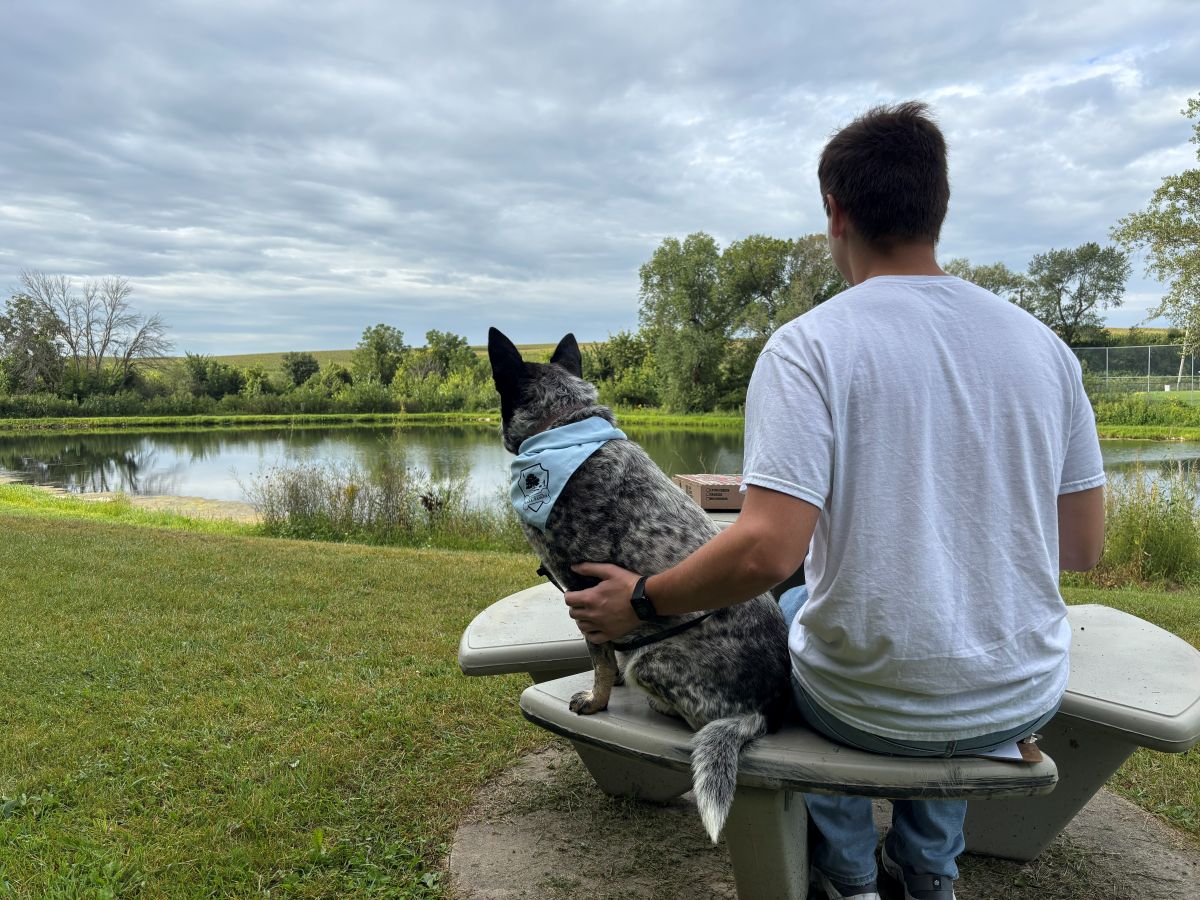 Picnic with your pup at Silver Springs