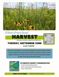 Prairie Seed Harvest