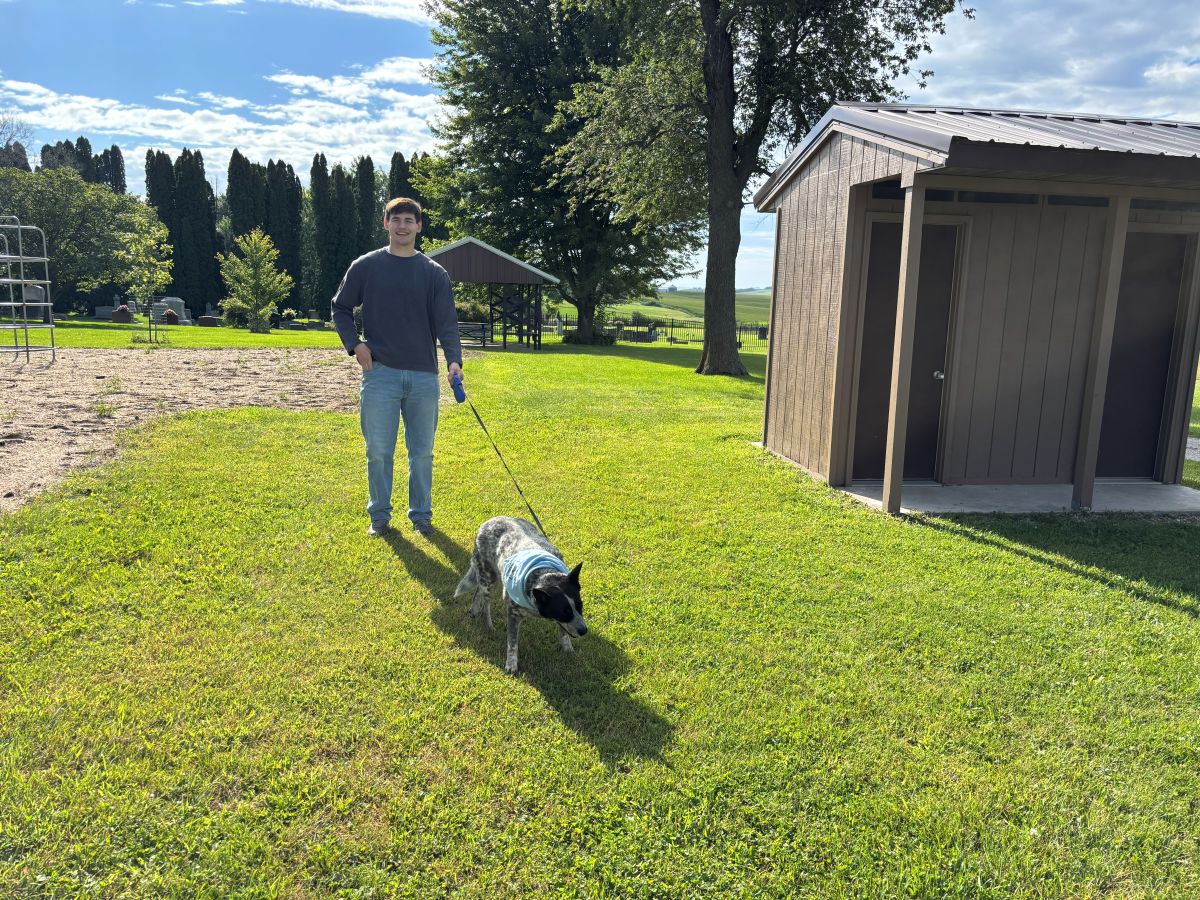 Walking dog in Frankville Park with pit toilets