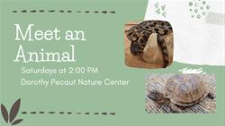 Meet An Animal