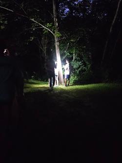 Nocturnal Scavenger Hunt