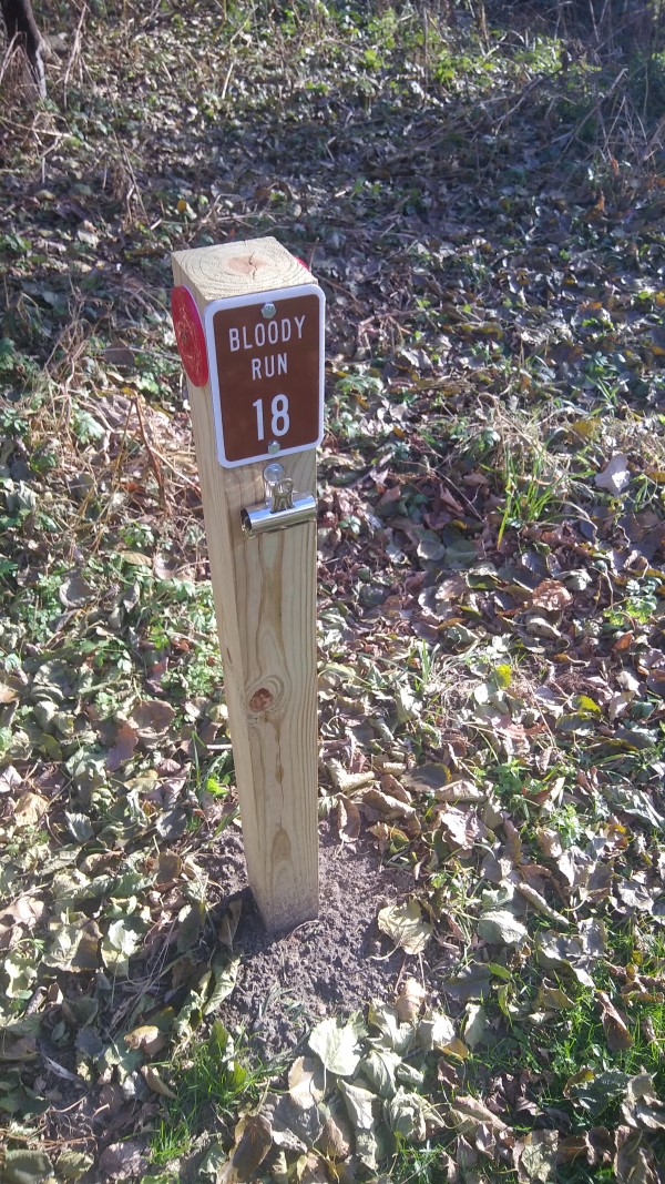 Bloody Run Campground, Campsite #18