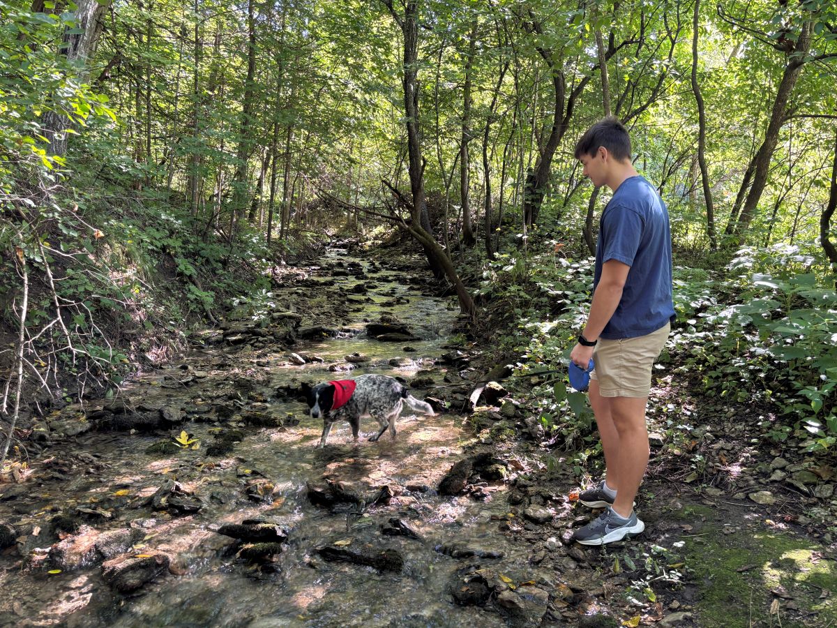 Exploring the creek at Moe Park