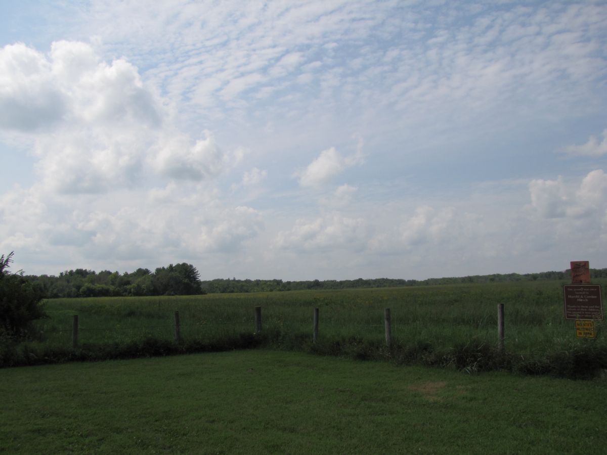 Saude Grassland
