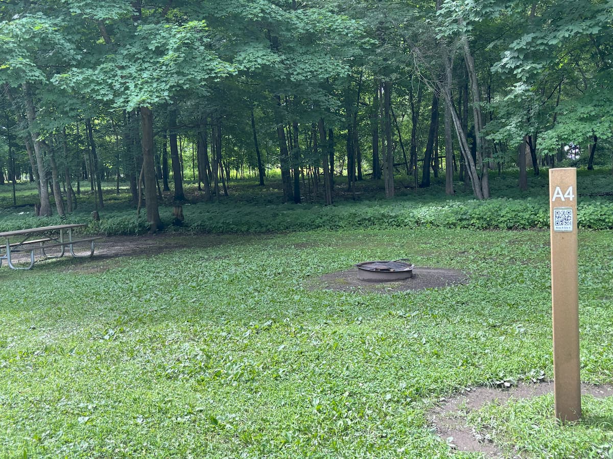 Area A - Site 4 (Primitive/Tent)