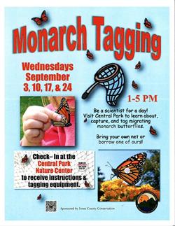 Monarch Tagging - Wednesdays in September