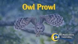 Owl Prowl