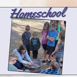 Homeschool Program "Bug Search"