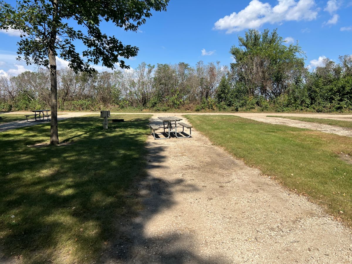 Dog Creek Campsite #03