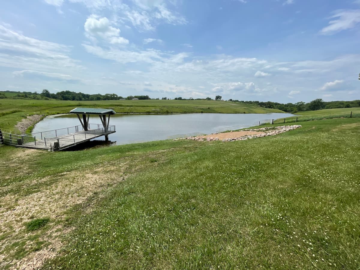 A view of the pond from the mowed area around the park. 