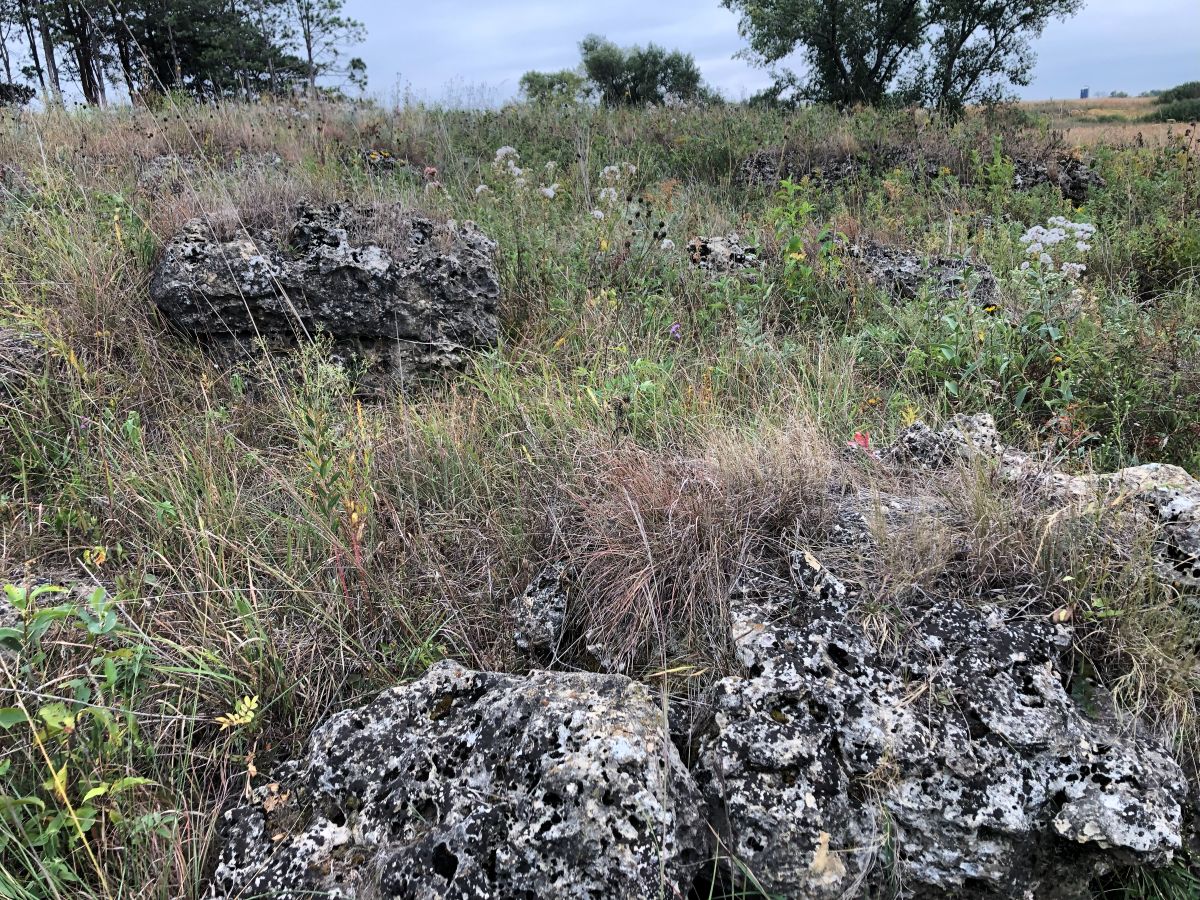 Limestone rock outcropping in Ludwig Preserve