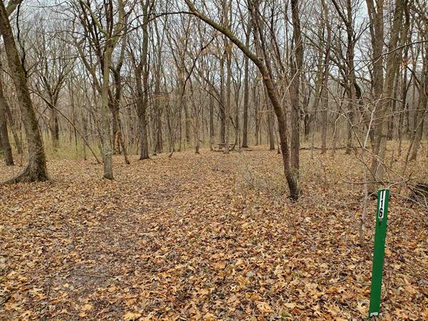 Yellow Banks Hike-In Site T16