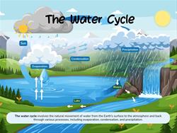 Nature Adventures For Homeschoolers - Water Cycles