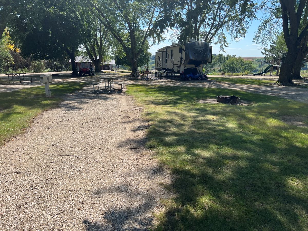 Dog Creek Campsite #11