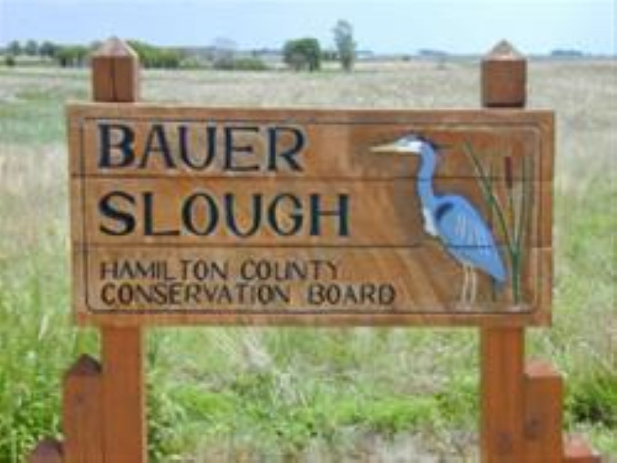 Bauer Slough