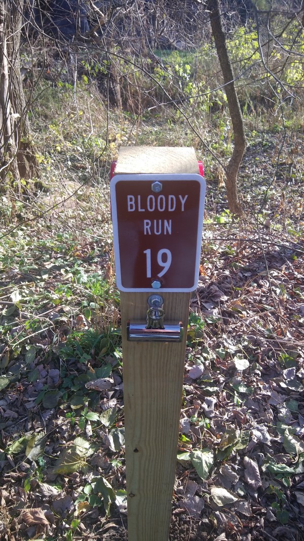 Bloody Run Campground, Campsite #19