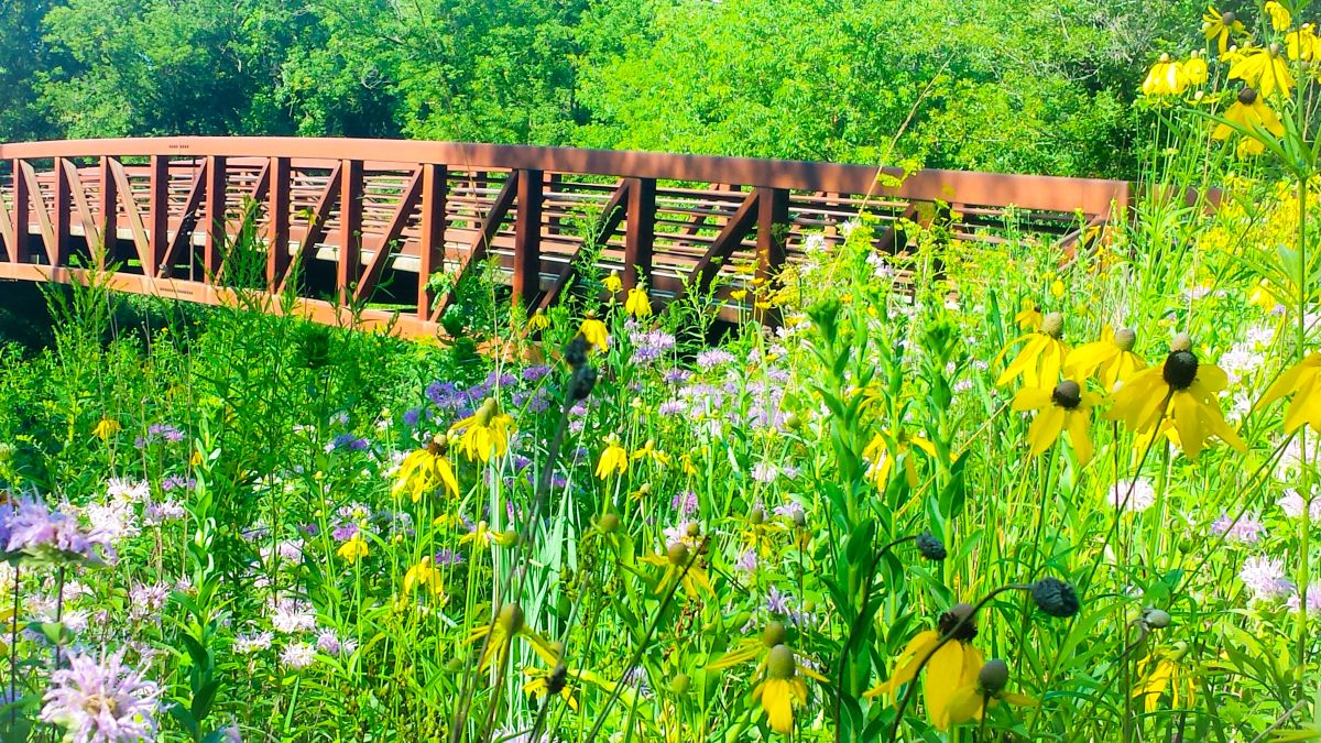 Bridge over Trout Run Creek
