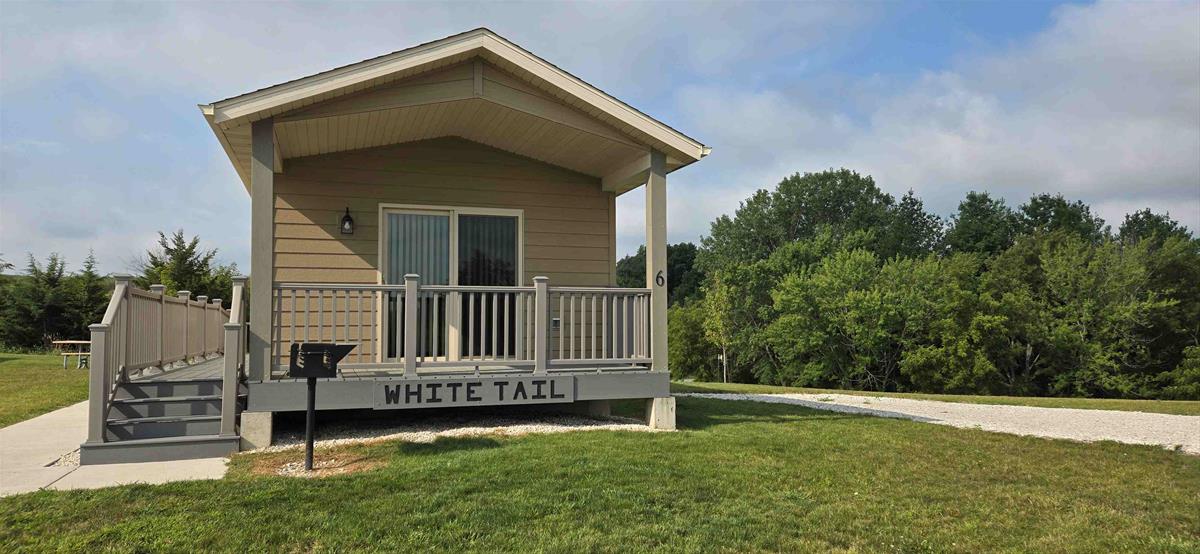 Cabin 6 - White Tail