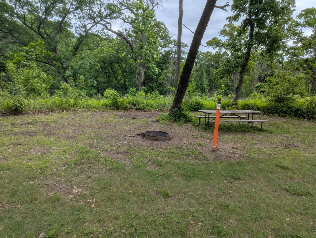 Yellow Banks Tent Site 9