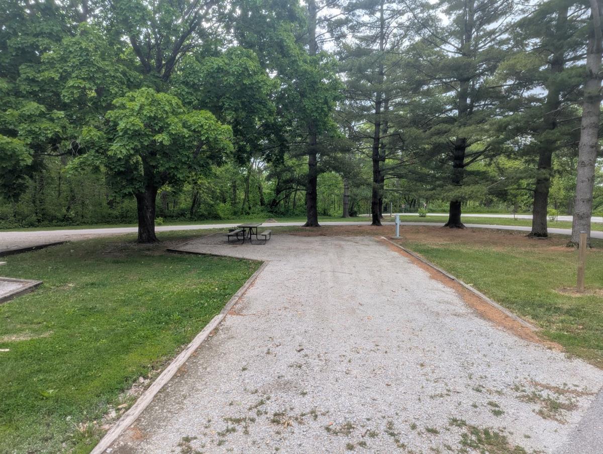 Yellow Banks Site 39