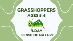 Summer Camp - Grasshoppers (Age 5-6) July 21-24