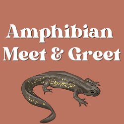 Amphibian Meet & Greet