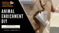 Animal Enrichment DIY