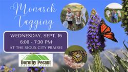 Monarch Tagging at Sioux City Prairie 2