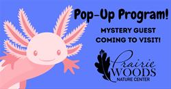 Pop-up Program January 21