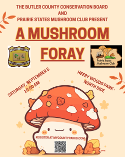 Mushroom Foray with the Prairie State Mushroom Club