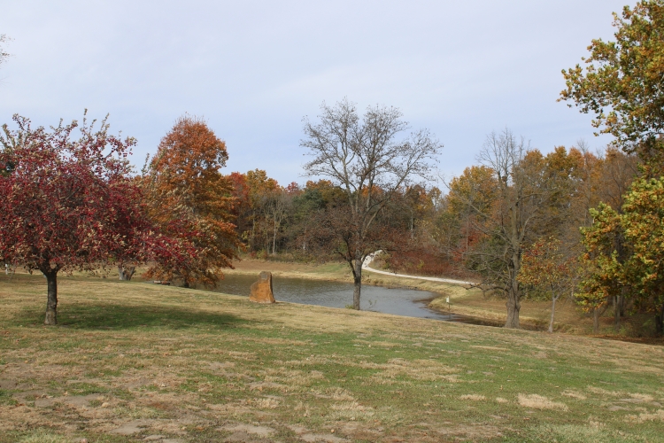 Whitham Woods Overview