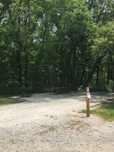 Yellow Banks Park Site 4