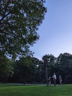 Chasing Fireflies, Counting Flying Bats, and Glow Games