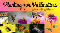 Women in the Wilderness: Planting for Pollinators