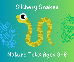 Nature Tots: Slithery Snakes - Ages 3-6