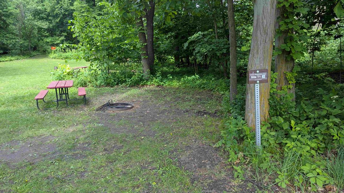 Swede Point Park Tent Site 1