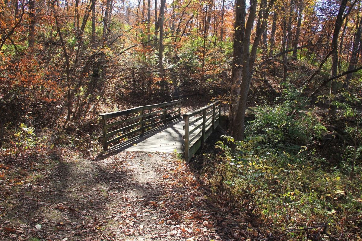 Bridge across a nature trail with fall foliage and leaves on the ground