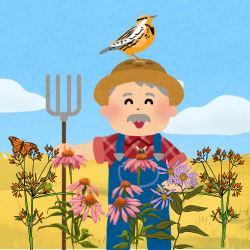 Prairie Seed Harvest at Bearbower Sand Prairie